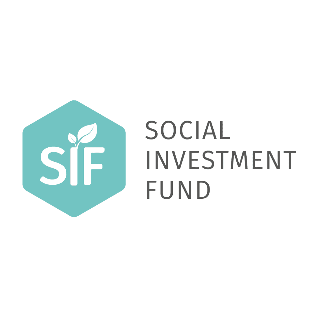 Social Investment Fund logo